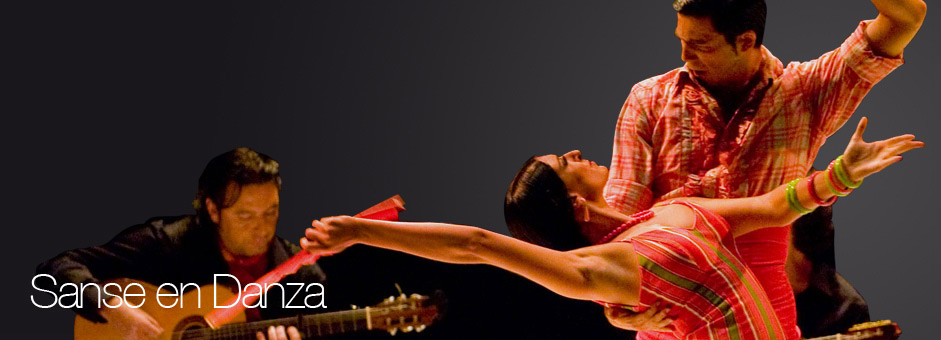 Sanse en danza
