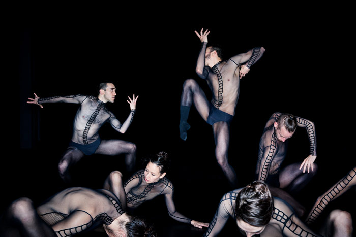 The primate trilogy / Dresden Frankfurt Dance Company