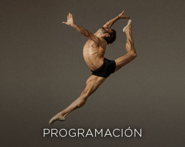 Enlace a la sección Programación