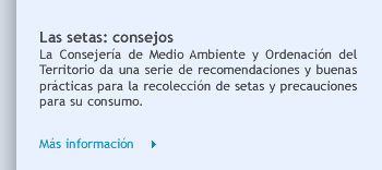 Las setas: consejos