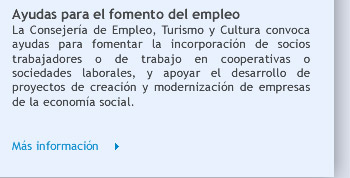 Ayudas para el fomento del empleo 