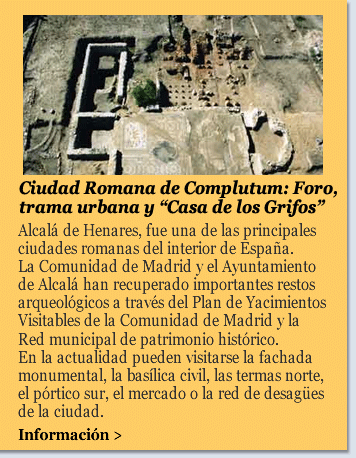 Ciudad Romana de Complutum: Foro, trama urbana y Casa de los Grifos