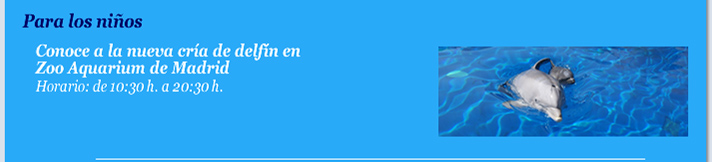Conoce a la nueva cría de delfín en Zoo Aquarium de Madrid. Horario: de 10:30h a 20:30h. 