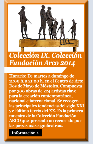Colección IX. Colección Fundación Arco 2014