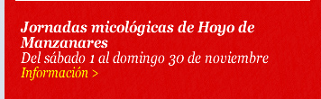 Jornadas micológicas de Hoyo de Manzanares