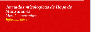 Jornadas micológicas de Hoyo de Manzanares