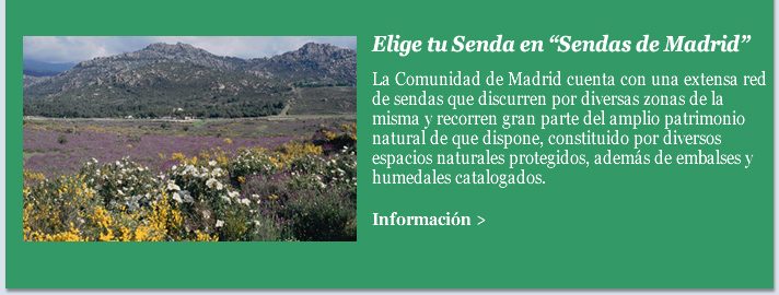 Elige tu Senda en “Sendas de Madrid”