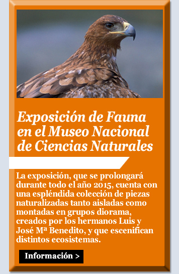 Exposición de Fauna en el Museo Nacional de Ciencias Naturales
