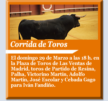 Corrida de Toros