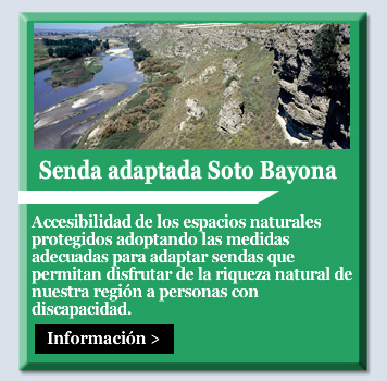 Senda adaptada Soto Bayona