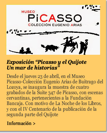 Exposición ‘Picasso y el Quijote. Un mar de historias’