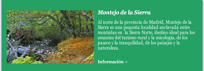 Montejo de la Sierra