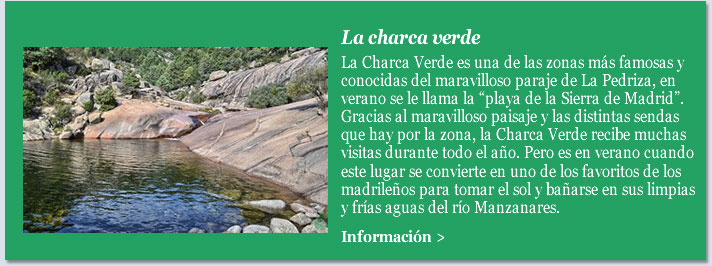 La charca verde 