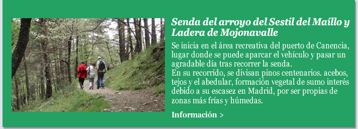 Senda del arroyo del Sestil del Maíllo y Ladera de Mojonavalle