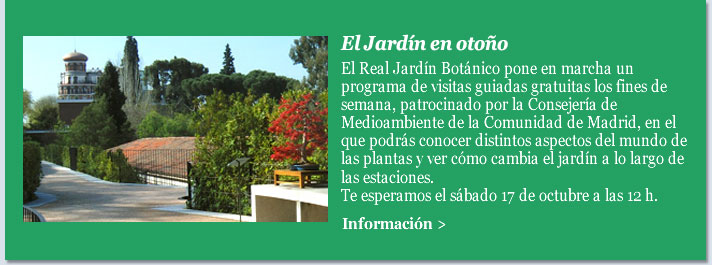 El Jardín en otoño