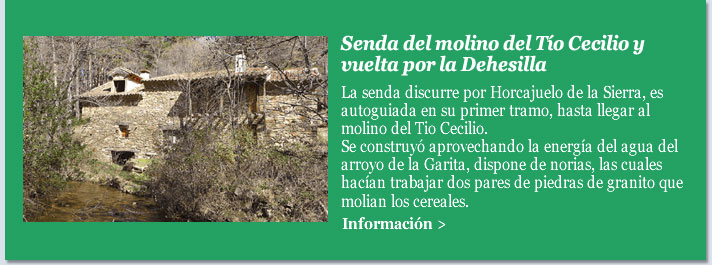 Senda del molino del Tío Cecilio y vuelta por la Dehesilla