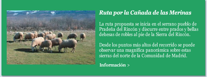 Ruta por la Cañada de las Merinas