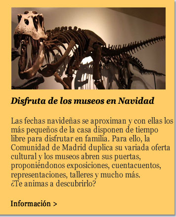 Disfruta de los museos en Navidad