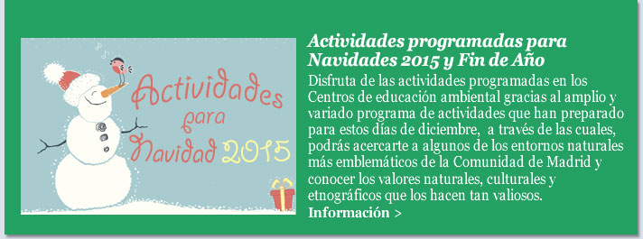 Actividades programadas para Navidades 2015 y Fin de Año