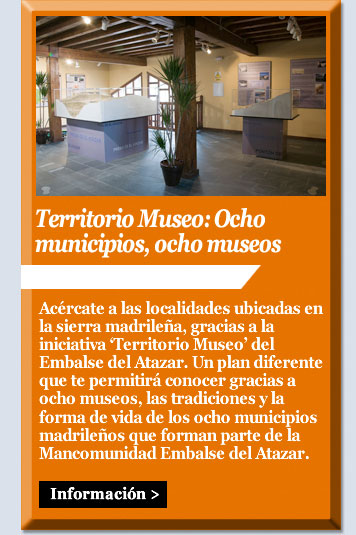 Territorio Museo: Ocho municipios, ocho museos