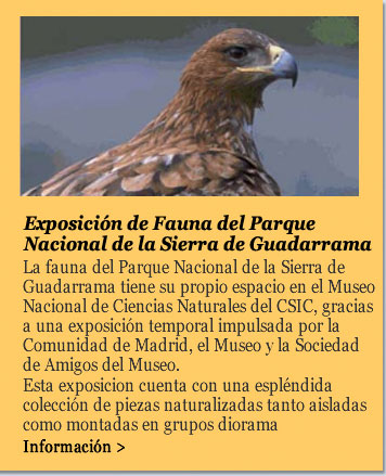 Exposición de Fauna del Parque Nacional de la Sierra de Guadarrama