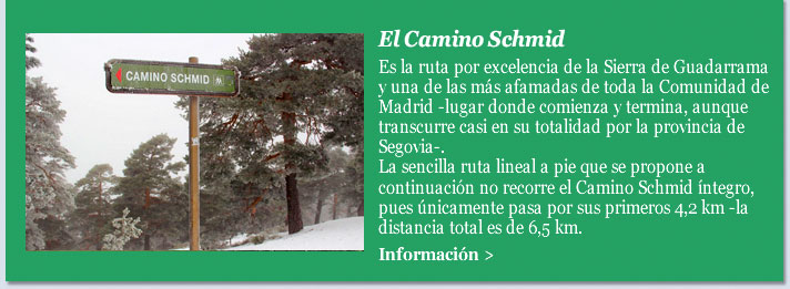 El Camino Schmid