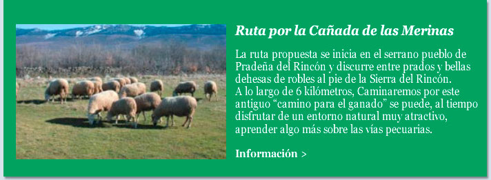 Ruta por la Cañada de las Merinas