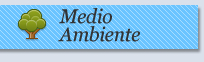 Medio Ambiente