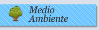 Medio Ambiente