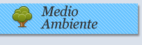 Medio Ambiente