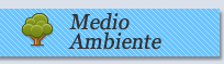 Medio Ambiente