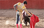 Corrida de toros