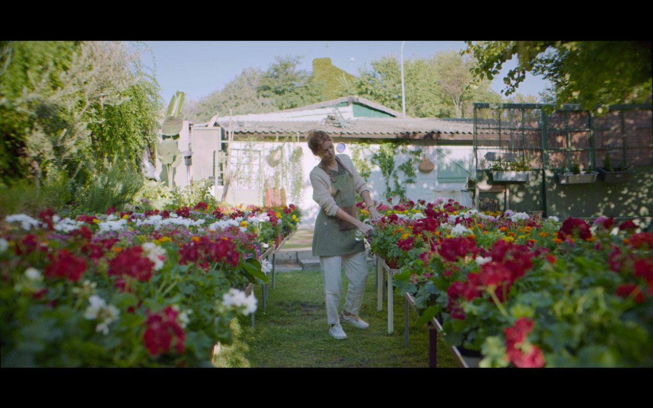 El Silencio en las Flores de Julio Mas Alcaraz