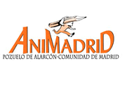 Animadrid 2010