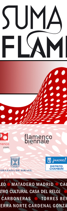 SUMA FLAMENCA 2013