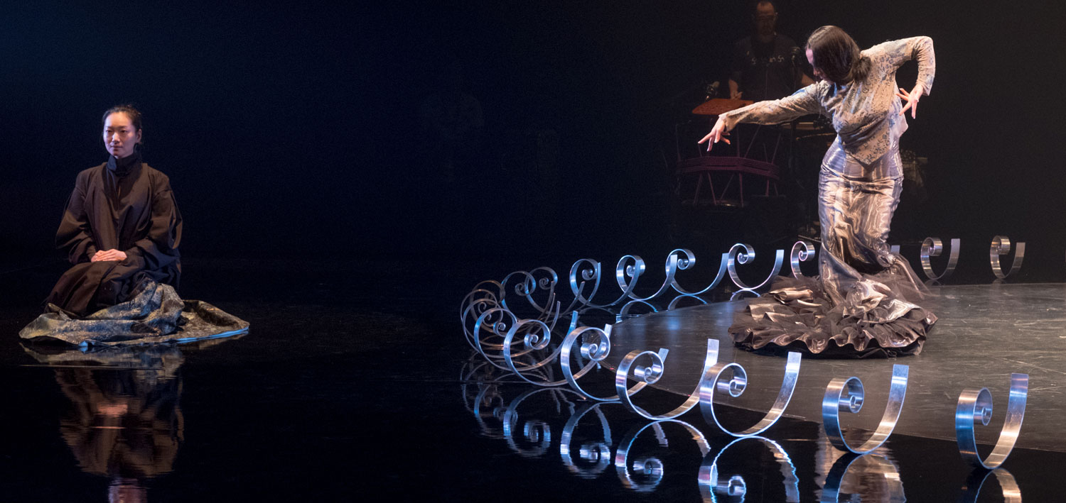 Eva Yerbabuena Ballet Flamenco