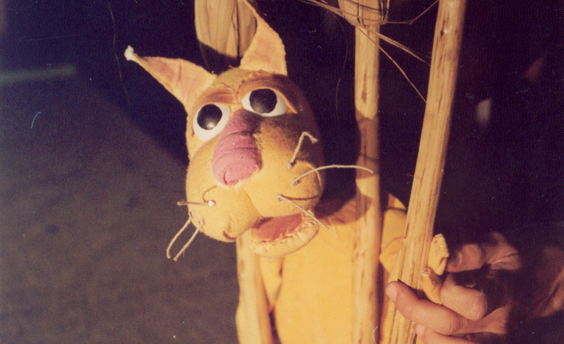 El Gato Manchado y la Golondrina Sinhá 