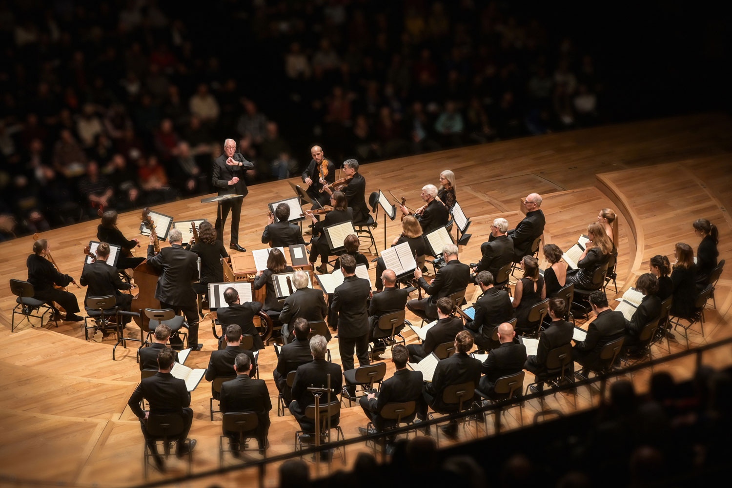 LES ARTS FLORISSANTS - WILLIAM CHRISTIE