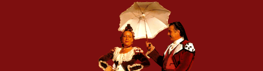 Espectculo de Danza: Msica y baile tradicional de la Comunidad de Madrid (FEMAF)