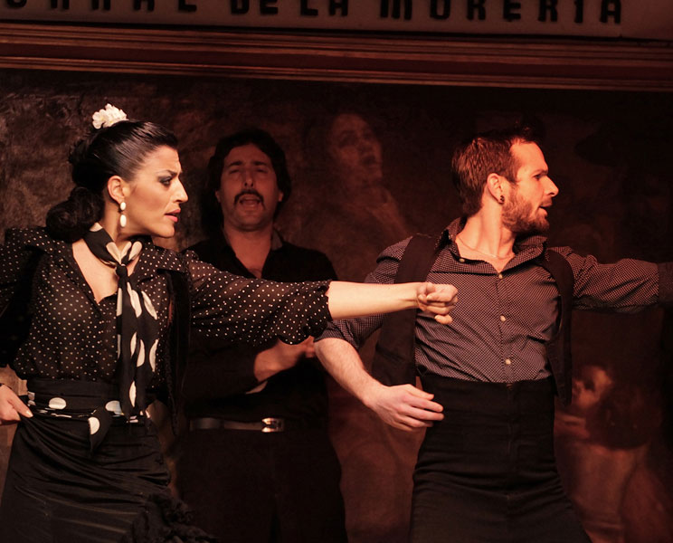 Flamenco en Comunidad 2M