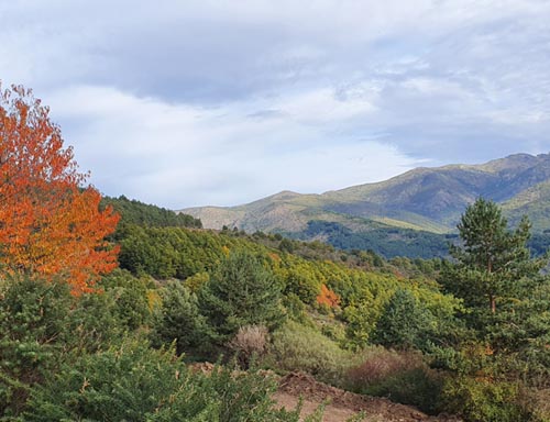Escenarios de montaña virgen