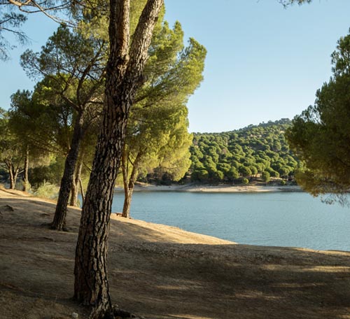 Escenas de verano en la costa
