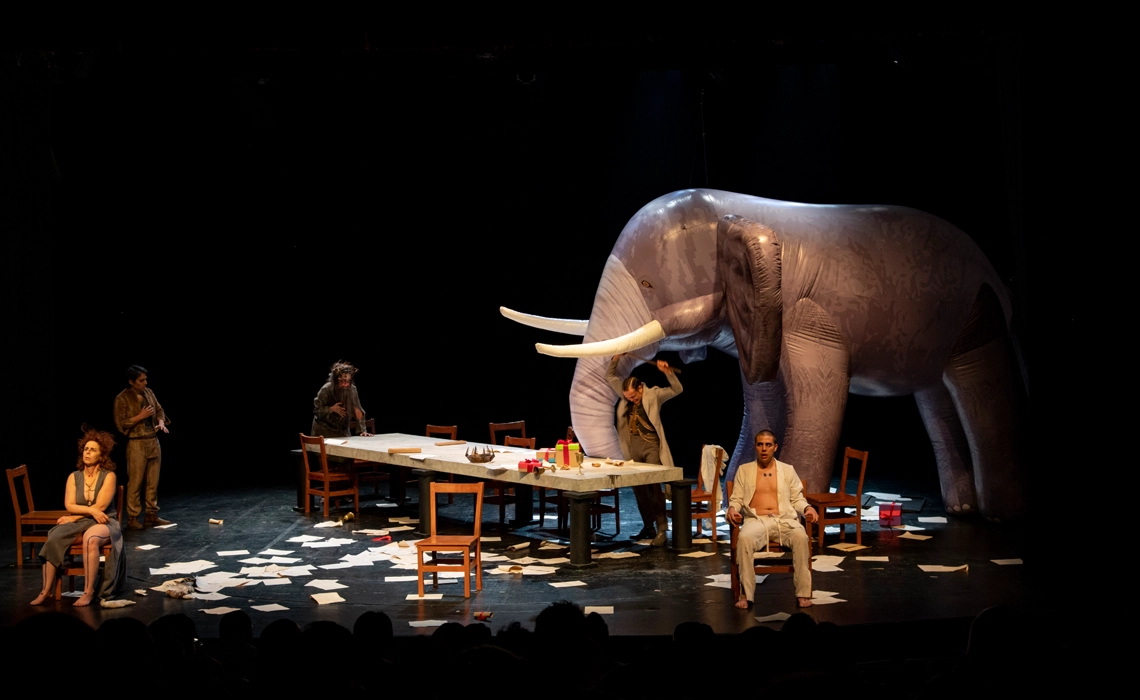 Imagen de la actividad