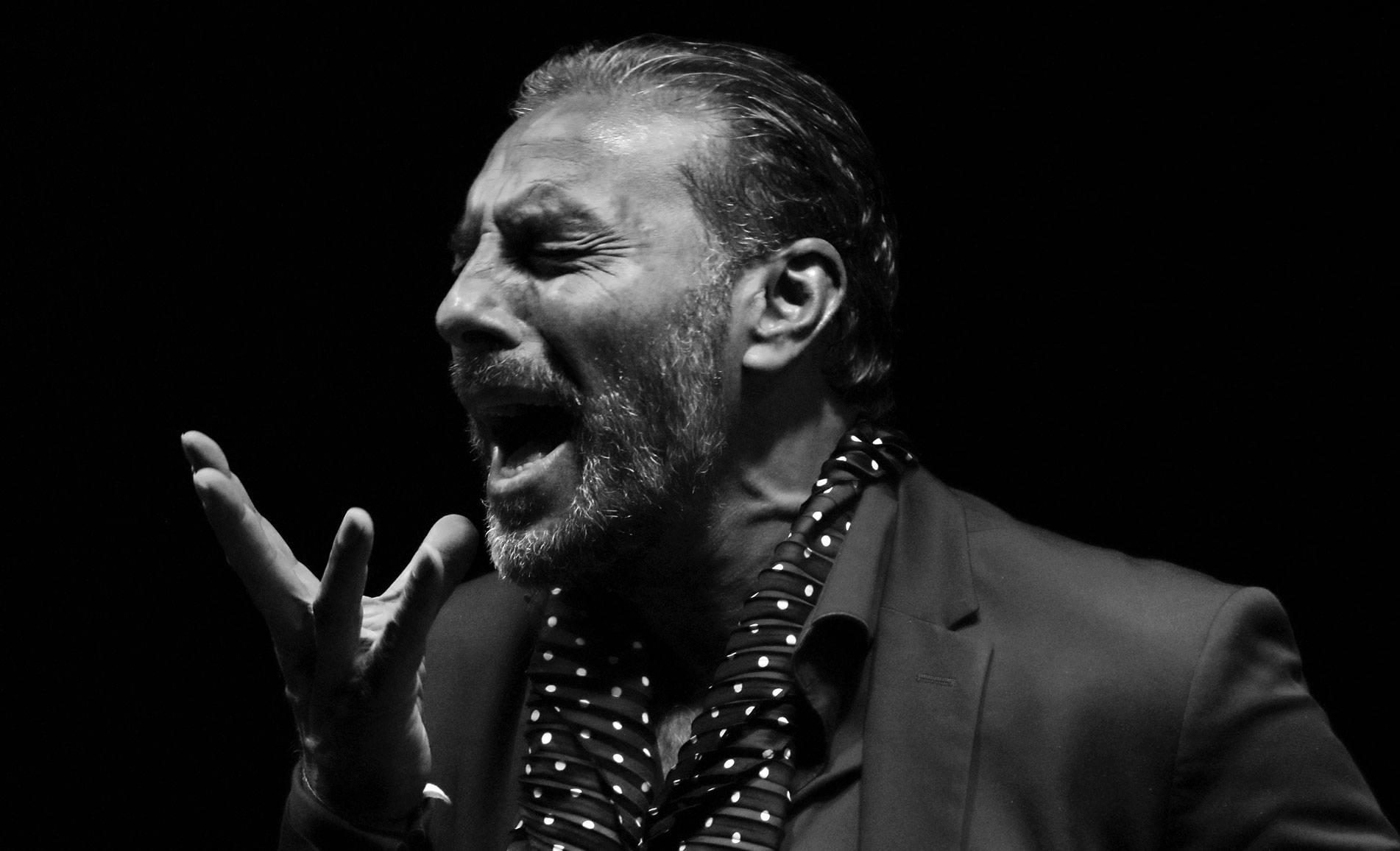 Pedro El Granaíno