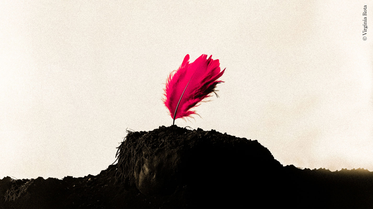 Imágen del espectáculo