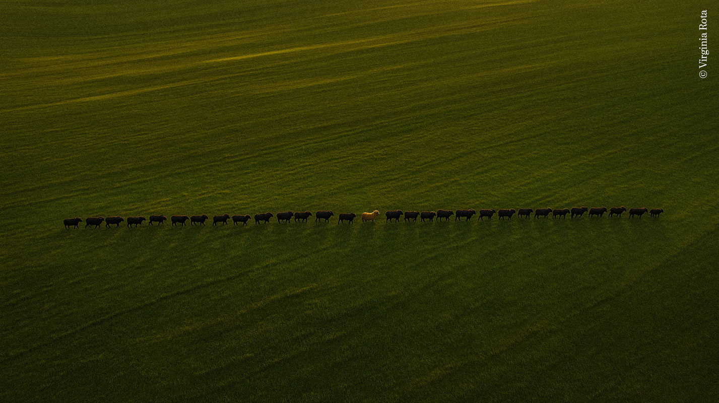 El hambre imposible de ser normal