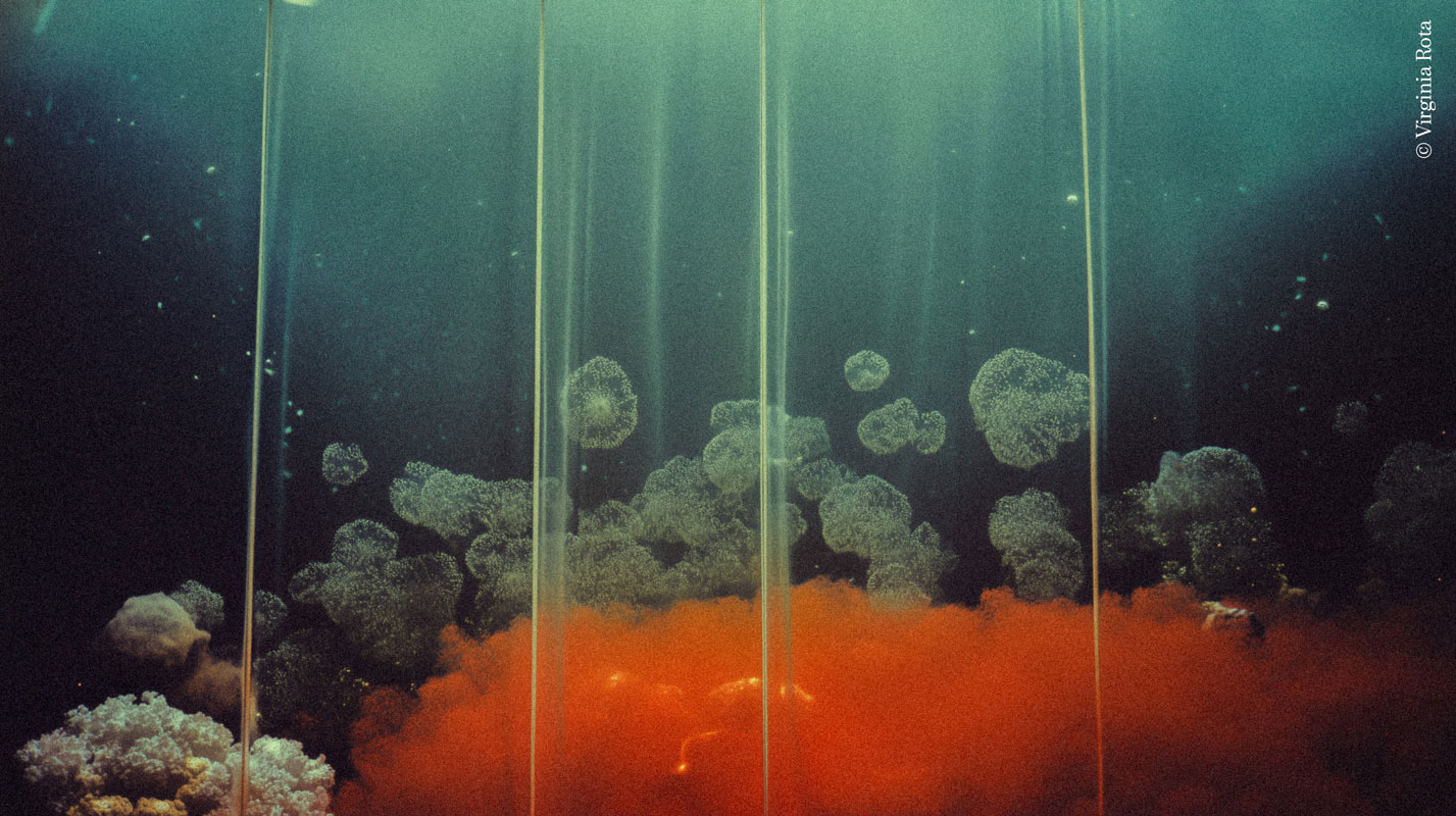 Holocausto de oxígeno 