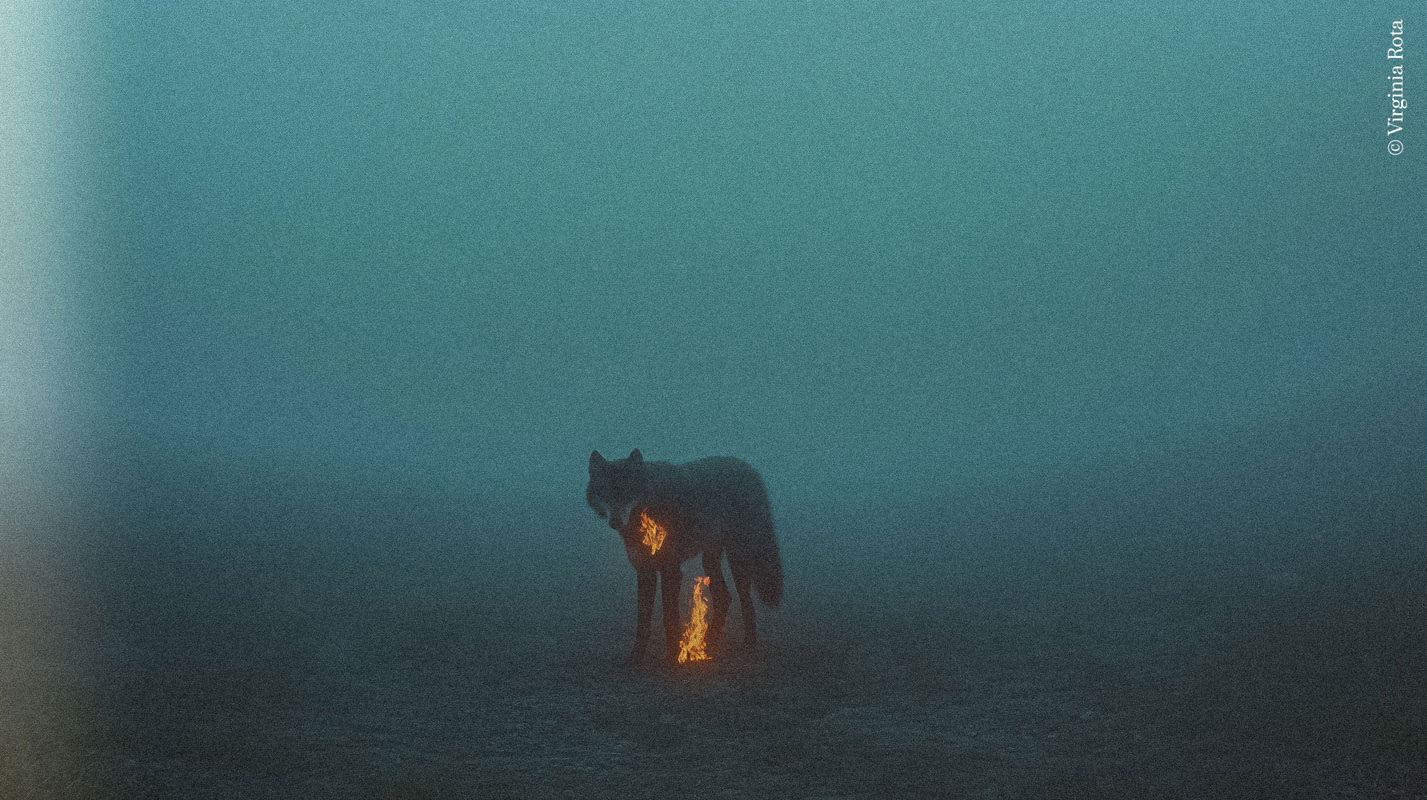 Imagen de la actividad