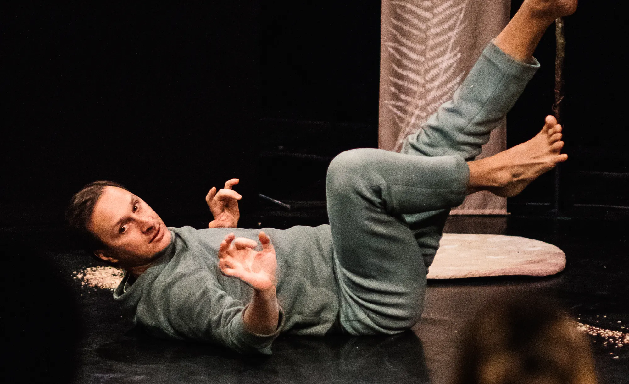 Le chant de l’arbre (El canto del árbol)