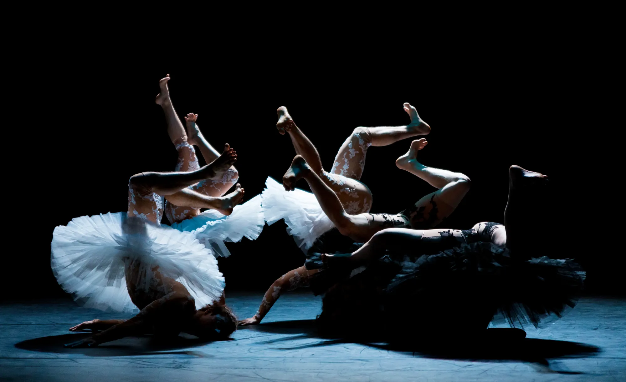 Imagen de la actividad Le Lac des cygnes (El lago de los cisnes)